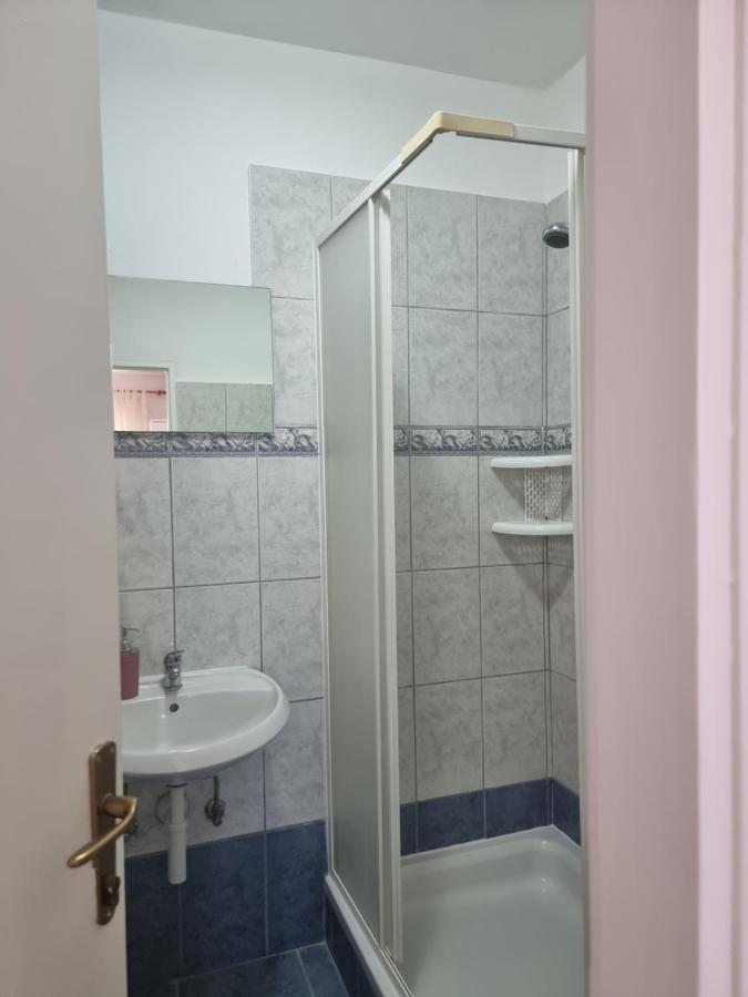 Apartmani Alen Dinjiška 外观 照片
