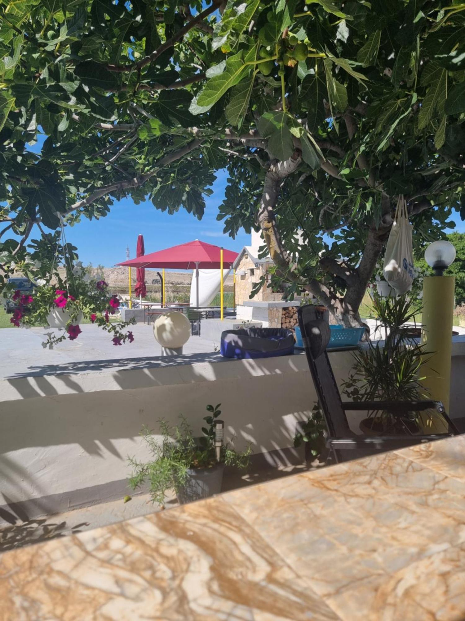 Apartmani Alen Dinjiška 外观 照片