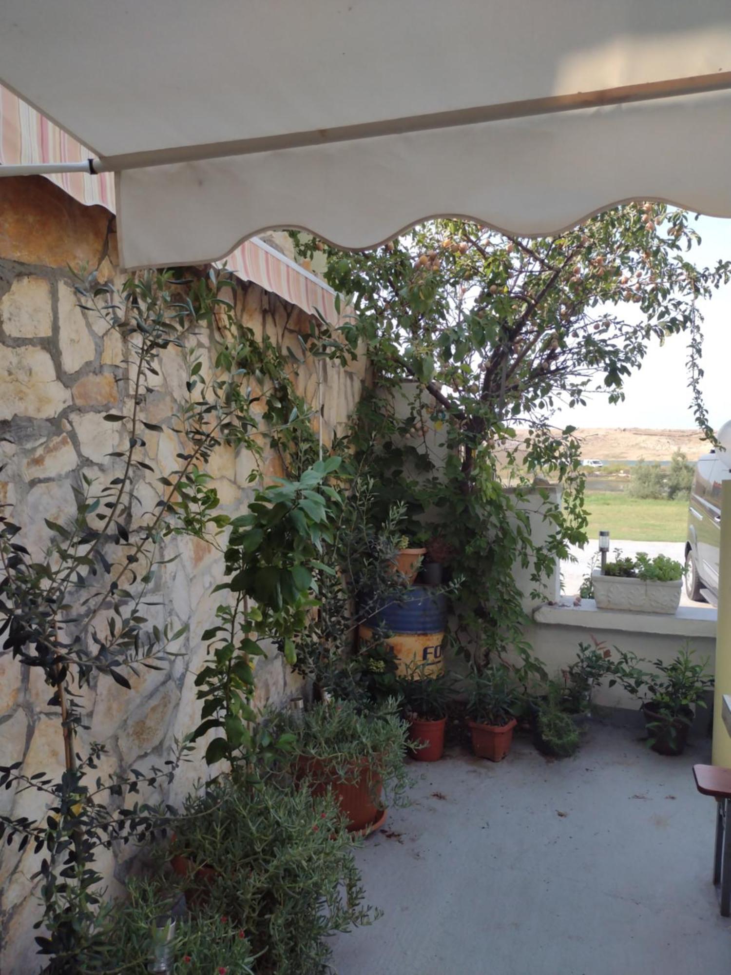 Apartmani Alen Dinjiška 外观 照片